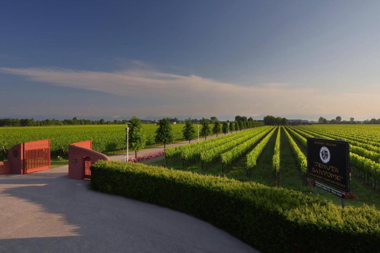 Tenuta Santomè Biancade Bagian luar foto